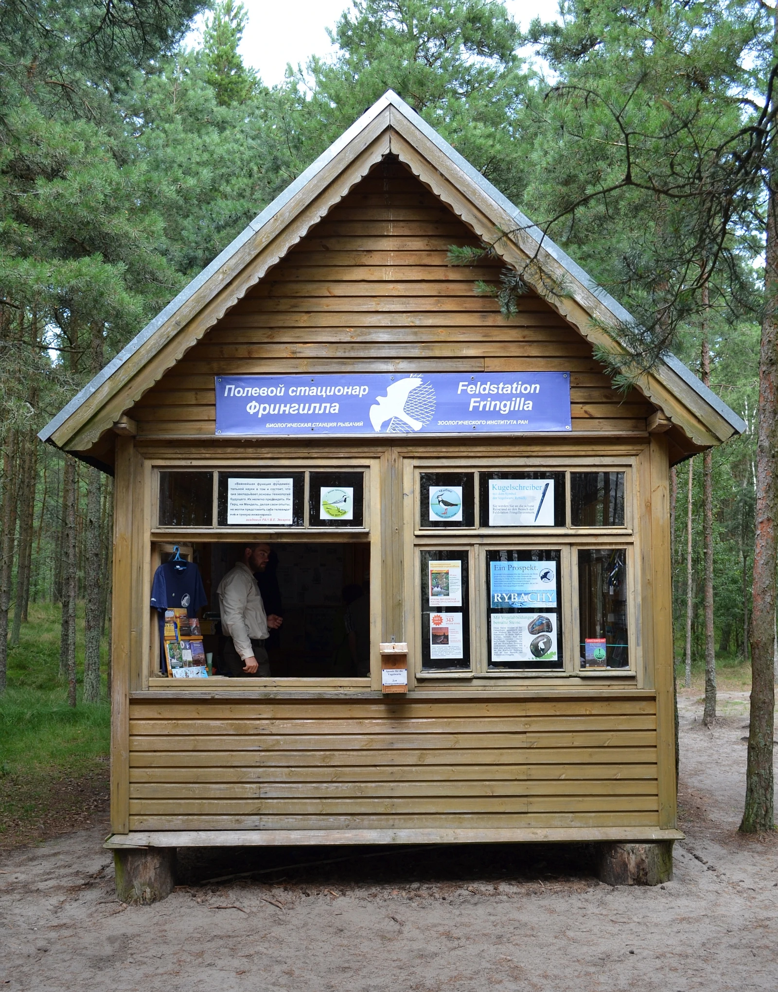 Касса полевого стационара «Фрингилла». Brunswyk at de.wikipedia. CC BY-SA 4.0