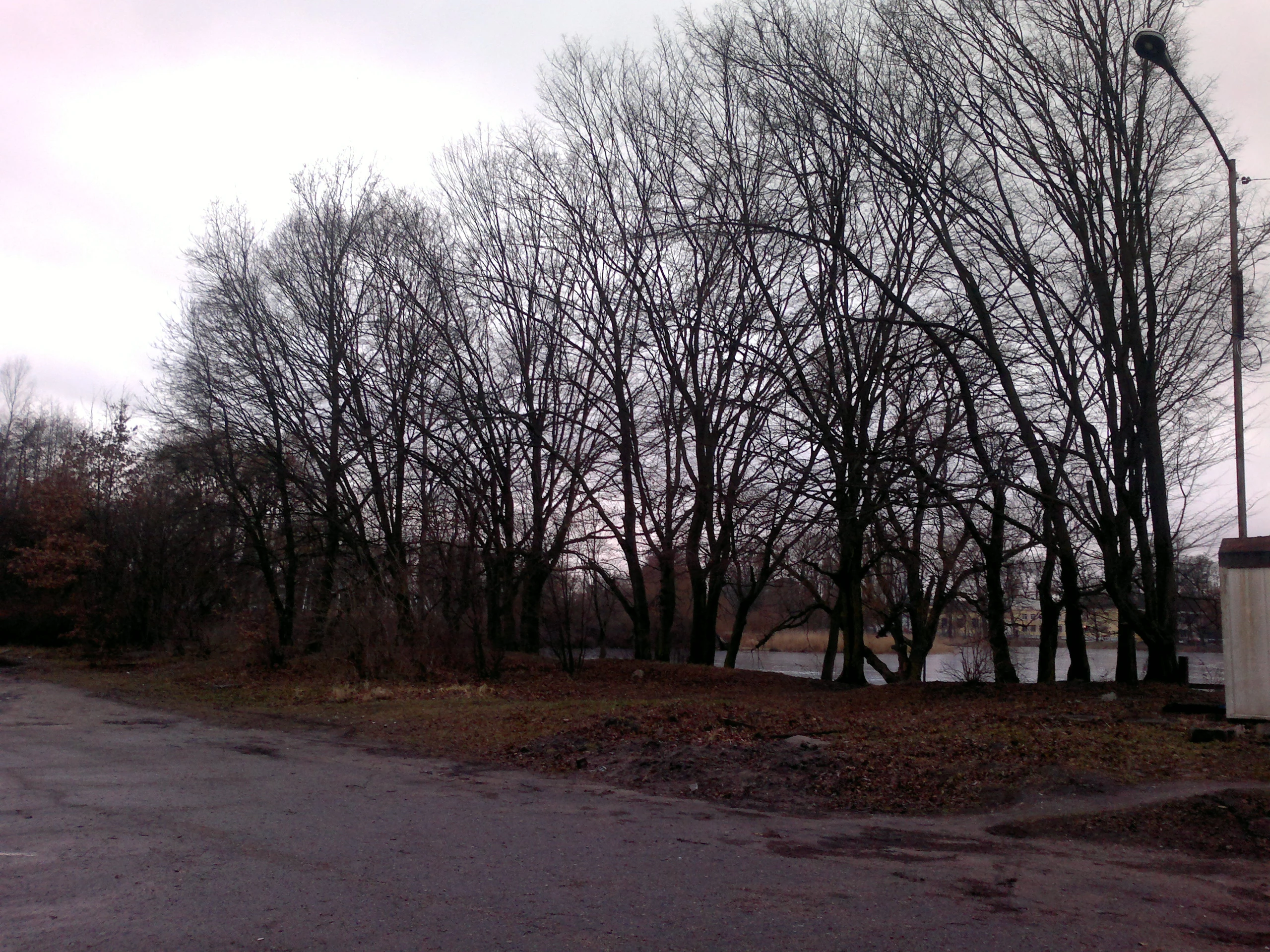 Аллея Южного парка. Anton Yefimov. CC BY 4.0