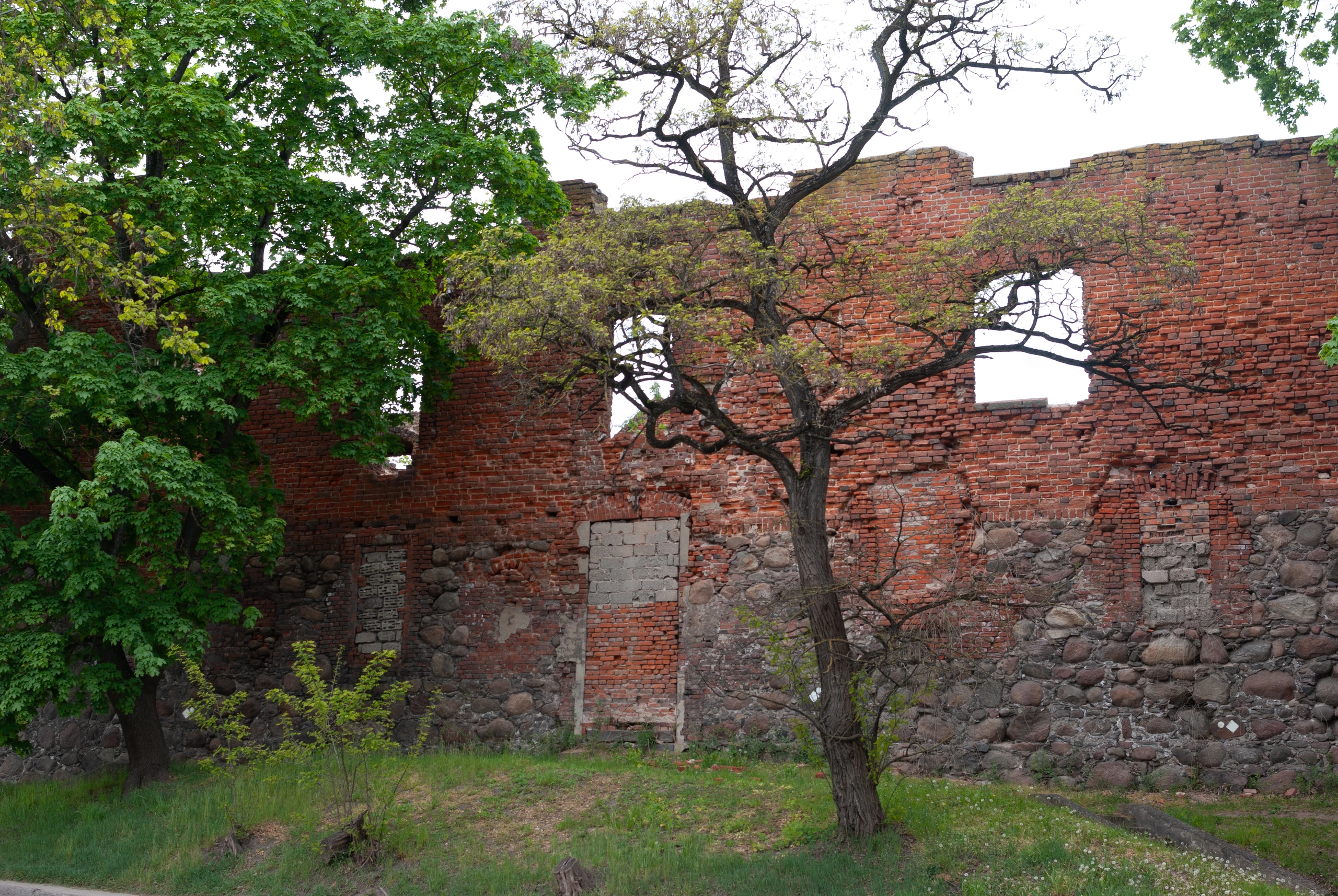 Кирпичная стена руин замка Инстербург с пустыми окнами. Artyom Svetlov. CC BY 4.0